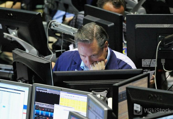 u=529581226,3995113833&fm=253&fmt=auto&app=138&f=JPEG?w=725&h=500