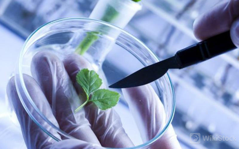 u=260573662,4220096115&fm=253&fmt=auto&app=138&f=JPEG?w=800&h=500