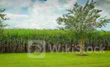 IHSG Melemah ke 7.083 Selasa (14/5), TPIA, BBCA, TLKM Paling Banyak Net Buy Asing