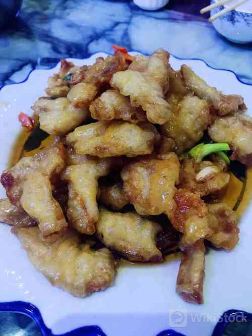 u=412521339,2650868550&fm=253&fmt=auto&app=138&f=JPEG?w=500&h=666