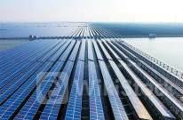 港股异动 | 光伏股午前拉升 4月光伏新增装机大幅环增 行业基本面有望边际向上