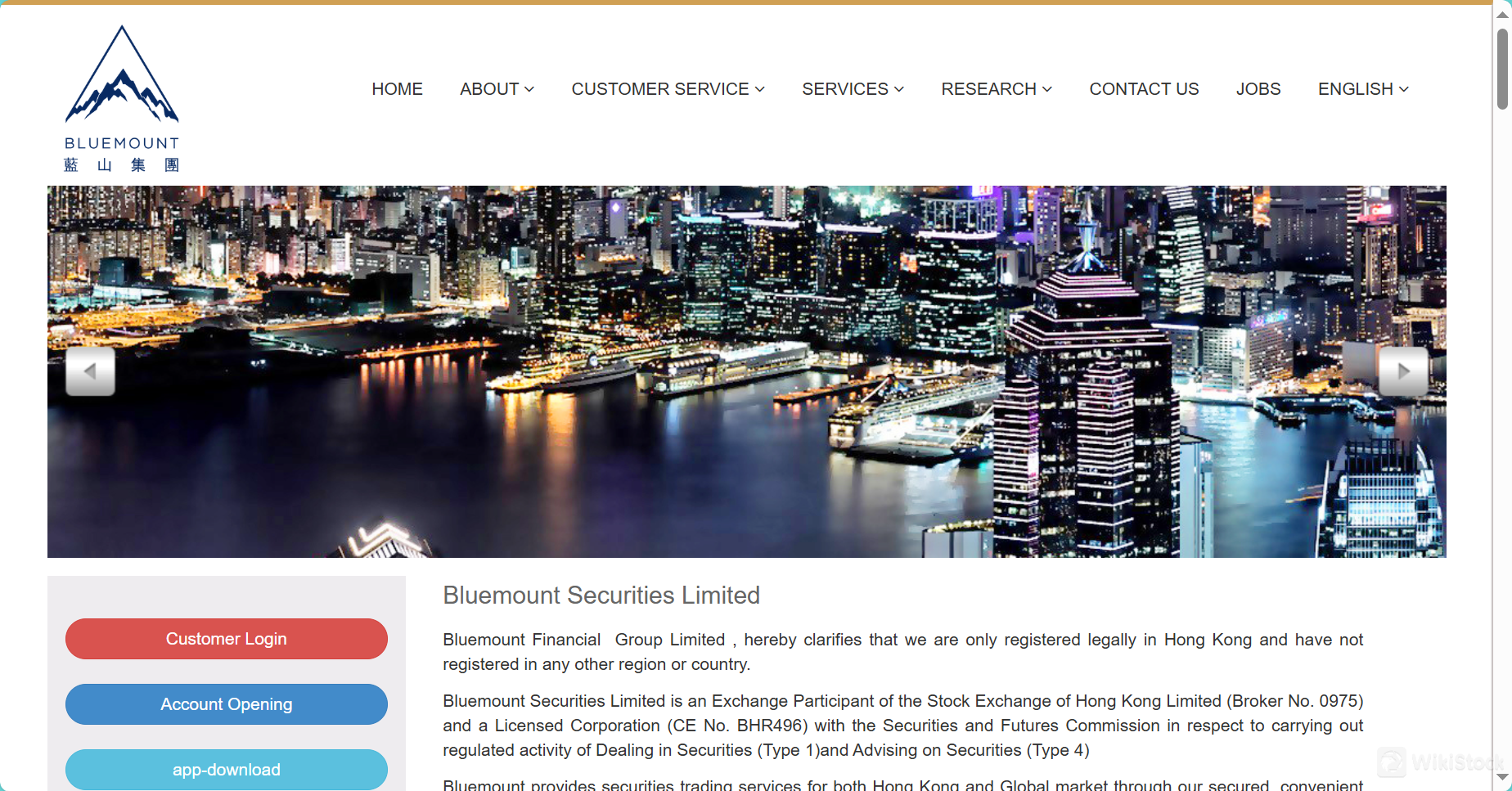 Bluemount Financials homepage