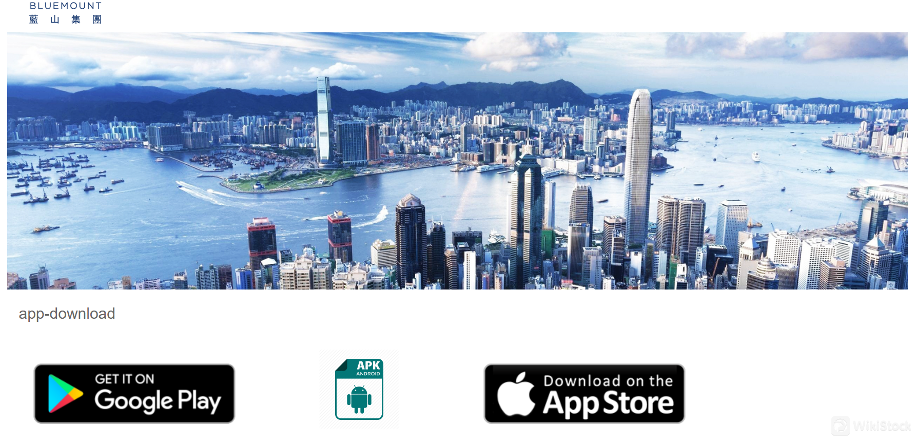 Bluemount Financial App Bluemount Financial App
