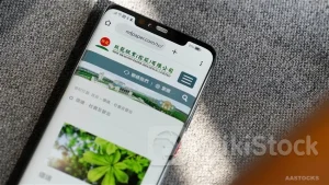 港股异动 | 玖龙纸业(02689)再跌超4% 张茵家族以14%年利率认购玖龙纸业4亿美元债券