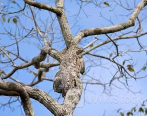 Simak Rekomendasi Saham ANTM, MBMA, dan TLKM untuk Perdagangan Kamis (13/6)