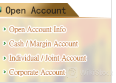 Tai Shing Accounts