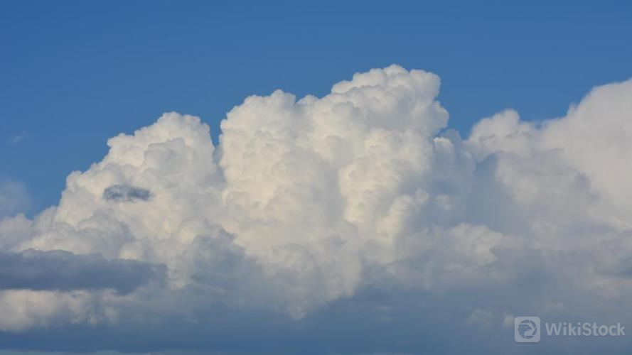 u=3462861030,3331480129&fm=253&fmt=auto&app=138&f=JPEG?w=889&h=500