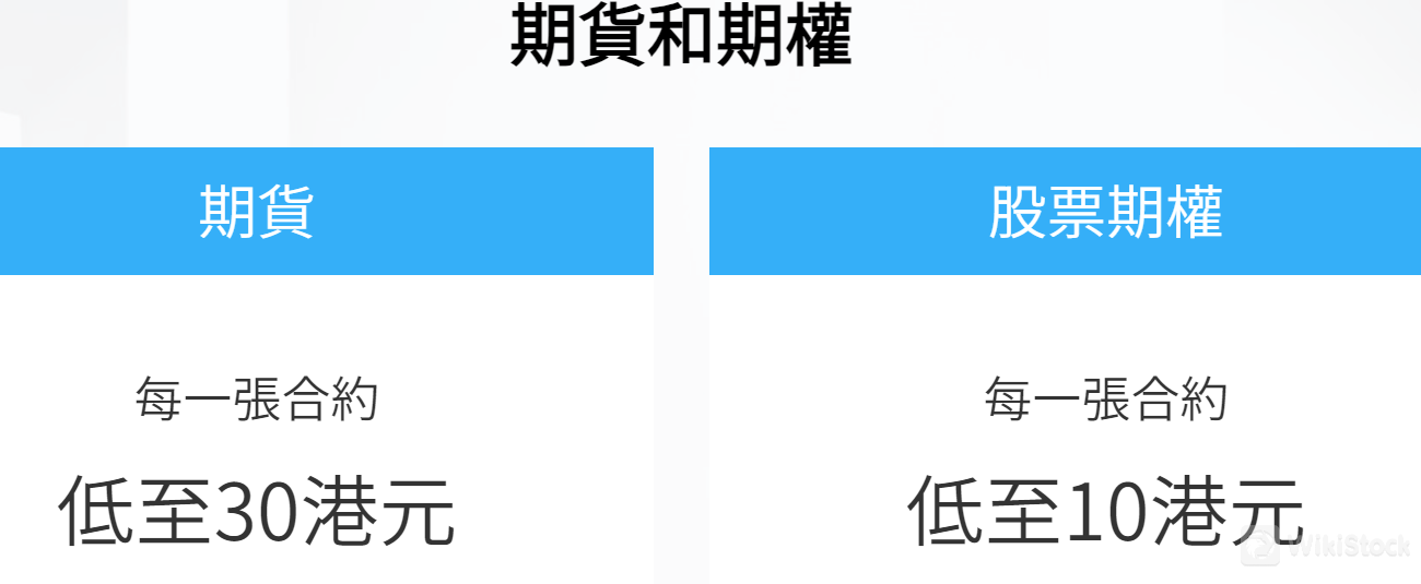 Pagsusuri sa Mga Bayarin ng T G Securities