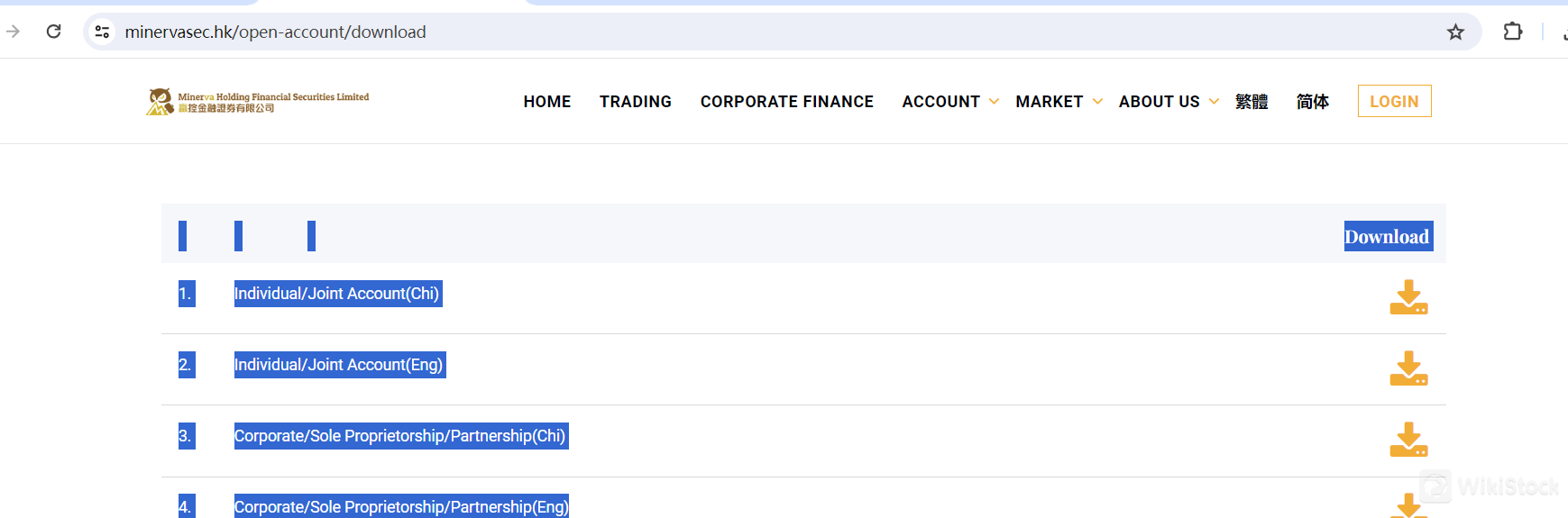 Minerva Holding Financial Securities Accounts