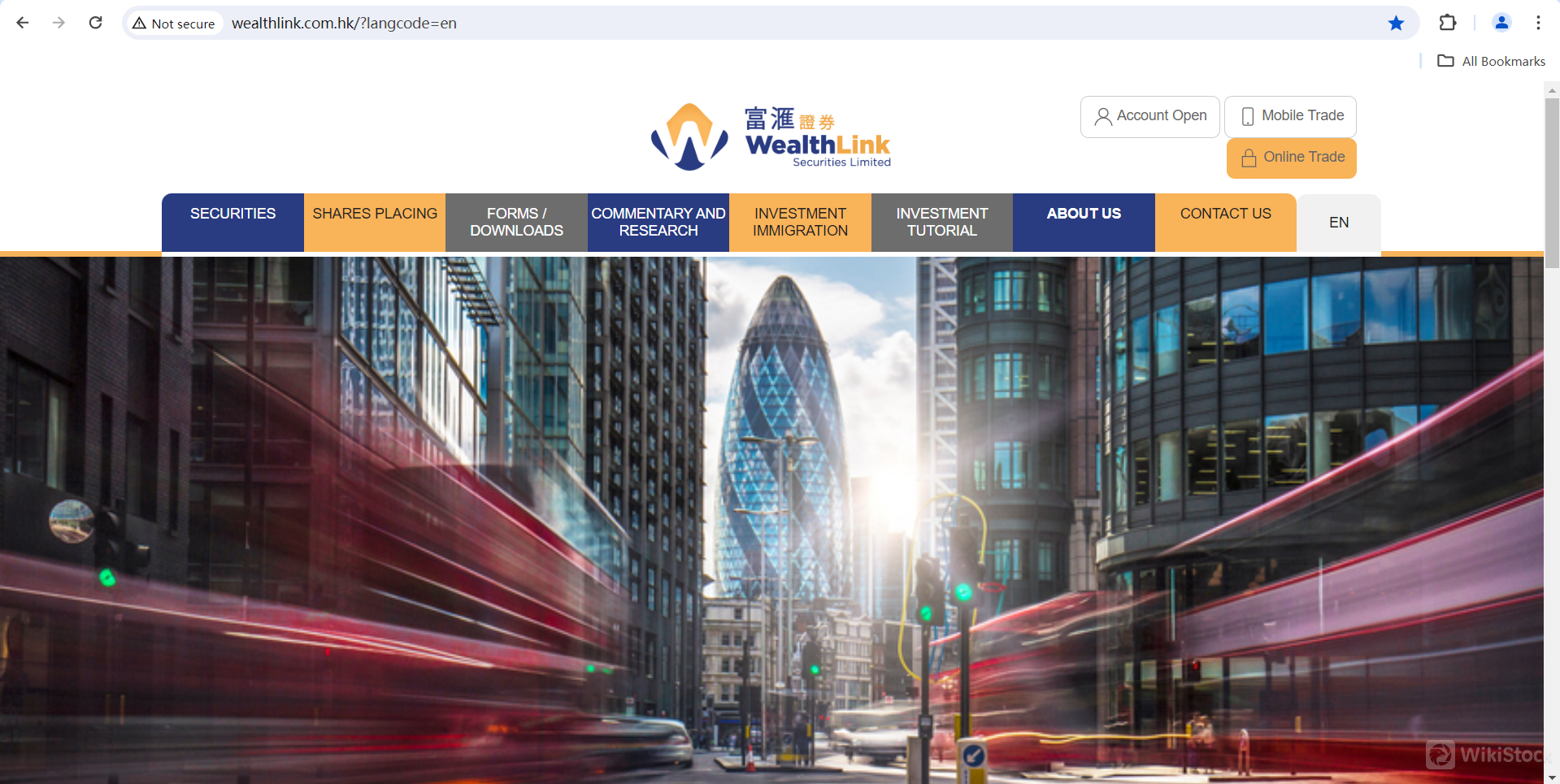 WealthLink's homepage