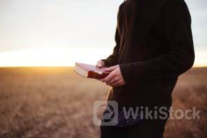 威诚国际控股(08107)拟折让约7.28%配售最多855万股 净筹约5895万港元