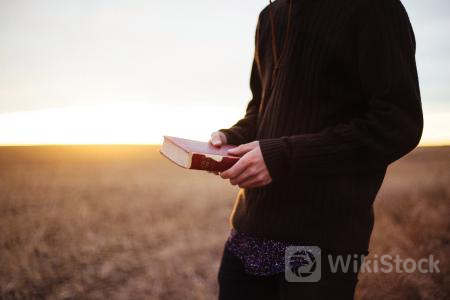 u=3360040640,4262866073&fm=253&fmt=auto&app=138&f=JPEG?w=450&h=300