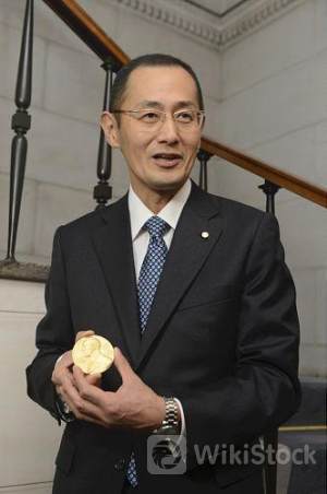 ユーロ圏 １０年債利回り格差 仏７６ｂｐと高水準継続 ６月３０日の仏国民議会選待ち