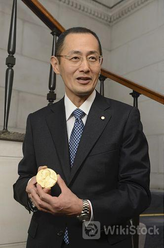 u=4082538530,3315071660&fm=253&fmt=auto&app=138&f=JPEG?w=332&h=500