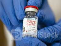 莫德纳RSV疫苗有效性急剧下降 股价大跌逾10%