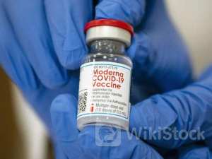 莫德纳RSV疫苗有效性急剧下降 股价大跌逾10%