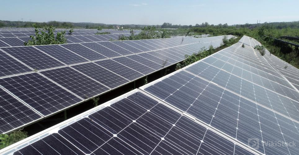 u=1125395446,63721084&fm=253&fmt=auto&app=138&f=JPEG?w=964&h=500