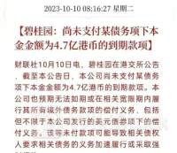 新百利融资6月28日回购2000.00股 耗资850.00港币