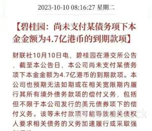 新百利融资6月28日回购2000.00股 耗资850.00港币
