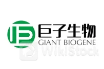 国信证券：维持巨子生物(02367)“优大于市”评级 618大促表现持续亮眼