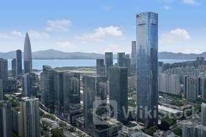 工业投资强劲 外贸稳定增长 消费升级显著 深圳经济前5月亮点频频