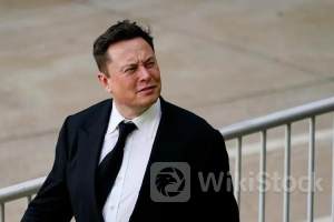 马斯克说到做到！特斯拉做空者两天内损失了35亿美元