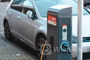 摩根斯丹利：中国电动汽车价格战暂时熄火