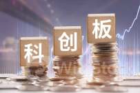 上交所召开“科创板八条”专题培训暨座谈会 加快推动更多具有示范意义的并购重组案例落地