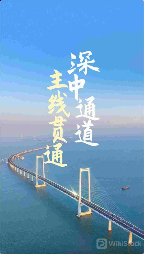 u=57197725,2216274887&fm=253&fmt=auto&app=120&f=JPEG?w=500&h=884