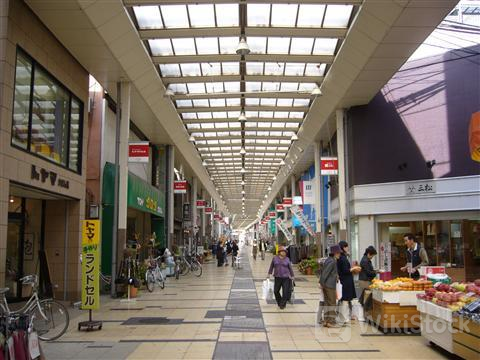 u=2307729921,2730619694&fm=253&fmt=auto&app=138&f=JPEG?w=480&h=360