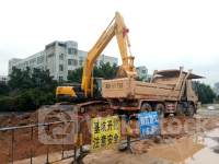 ＜個人投資家の予想＞ 07月06日 10時