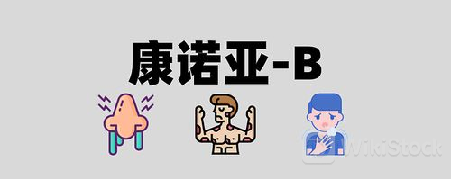 u=3112910587,927258407&fm=253&fmt=auto&app=138&f=JPEG?w=500&h=199