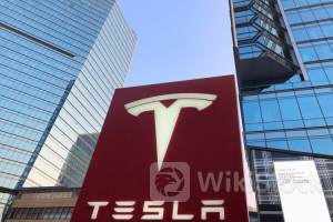 美股成交额前20：特斯拉十一连涨 大摩维持买入评级