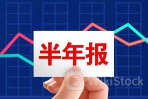 已有近300家公司半年度业绩预喜 沪市主板公司固本强基积极提升投资价值