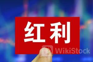 广发基金霍华明： 港股迎积极变化 红利资产值得关注