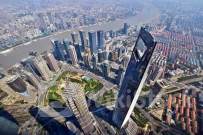 浦东引领区建设交三周年“答卷” 加快改革试点“苗圃变森林”