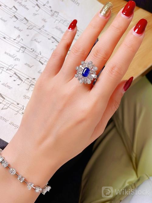 u=3404658924,2929250708&fm=253&fmt=auto&app=138&f=JPEG?w=500&h=666