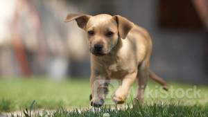 BofA profit drops on lower interest income, outlook lifts shares