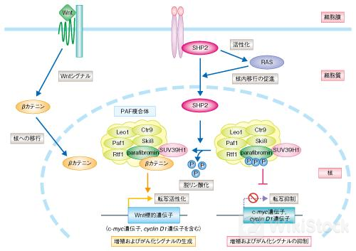 u=804844520,3575450032&fm=253&fmt=auto&app=138&f=JPG?w=500&h=353