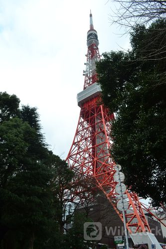 u=3132525803,2413679978&fm=253&fmt=auto&app=138&f=JPEG?w=333&h=500