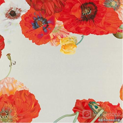 u=2536476318,2342935753&fm=253&fmt=auto&app=138&f=JPEG?w=500&h=500