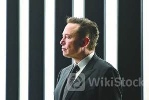 美股成交额前20:马斯克支持特朗普竞选 称将每月捐款4500万美元