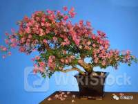 ＜個人投資家の予想＞ 07月20日 16時