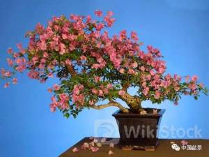 ＜個人投資家の予想＞ 07月20日 16時