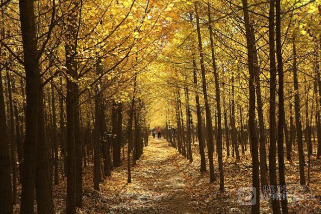 u=352682380,3883091511&fm=253&fmt=auto&app=138&f=JPEG?w=640&h=426