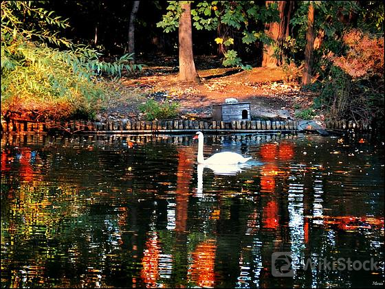 u=2766000063,1836302889&fm=253&fmt=auto&app=138&f=JPEG?w=560&h=421 u=2766000063,1836302889&fm=253&fmt=auto&app=138&f=JPEG?w=560&h=421