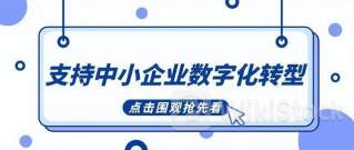 加大中小企业数字化服务供给