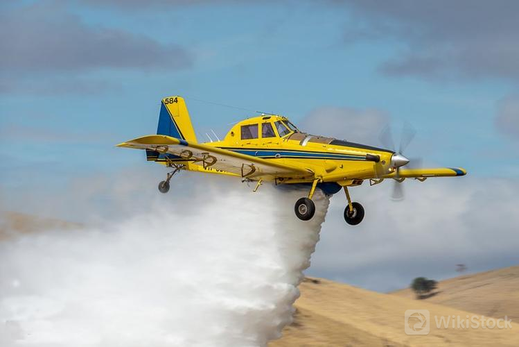 u=1982851326,331299743&fm=253&fmt=auto&app=138&f=JPEG?w=749&h=500