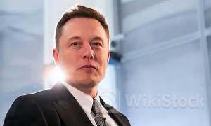 马斯克最新访谈:“全球最强AI”年底发布