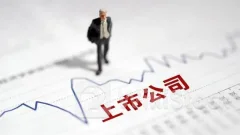 机构发布上市公司内控白皮书 建言建立差异化内控规范体系